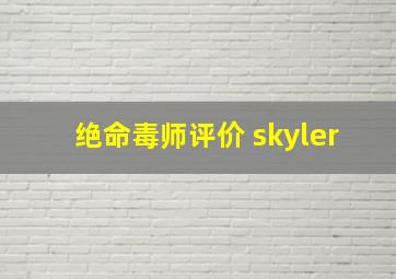 绝命毒师评价 skyler